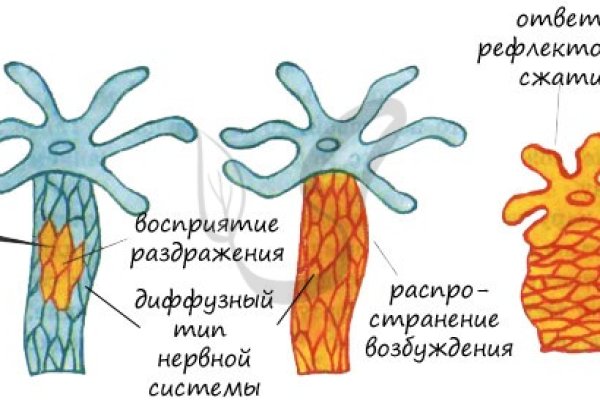 Ссылка на мега тор